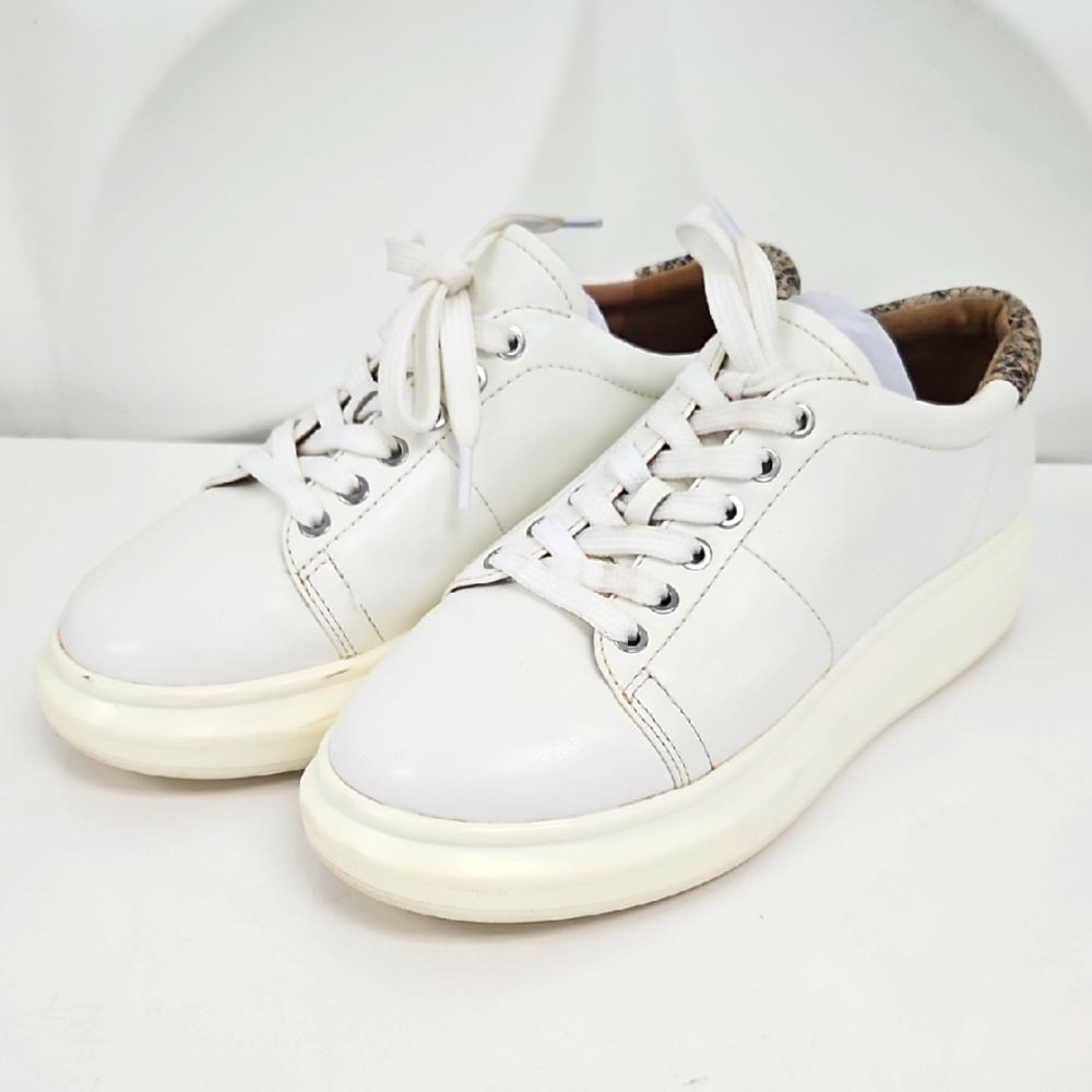 Linea Paolo Kelsey Platform Snakeskin Sneaker